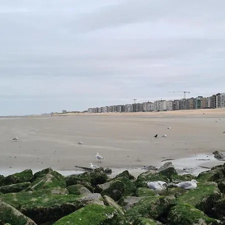 Appartamento Beachfront Vitalo 502, Cleaning Included *